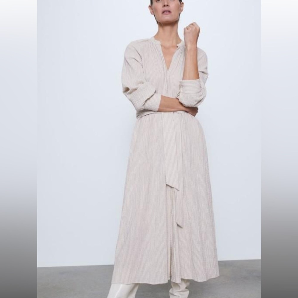 NWT Zara Rustic Dress
